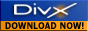 divx_logo2.gif